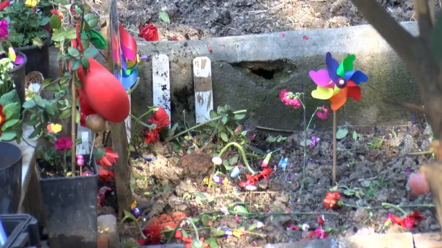 Duruşmaya dakikalar kala Ahmet Minguzzi'nin mezarına saldırı