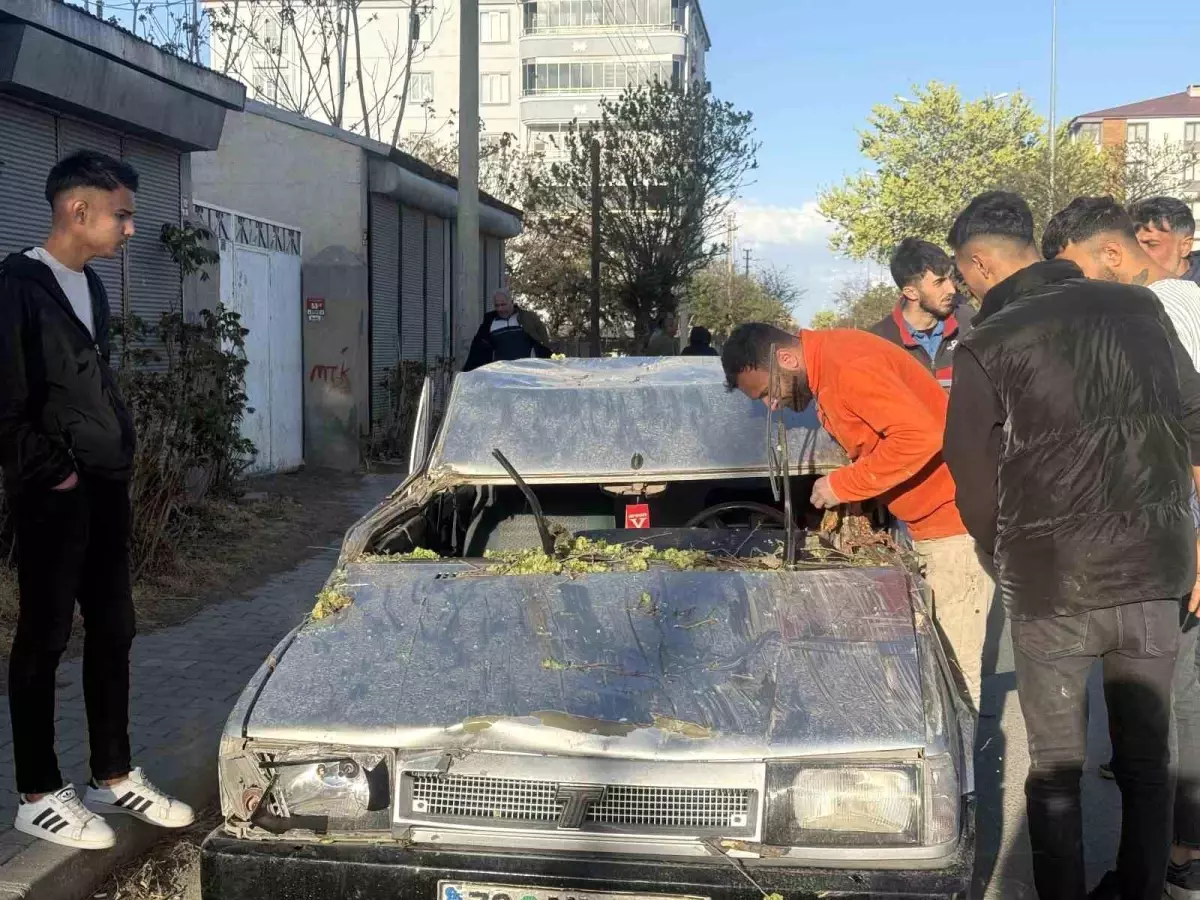 Iğdır\'da Ağaç Devrildi, Sürücü Yaralandı