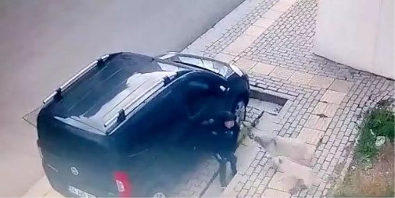 Orhangazi\'de Başıboş Köpekler Okul Çocuğuna Saldırdı