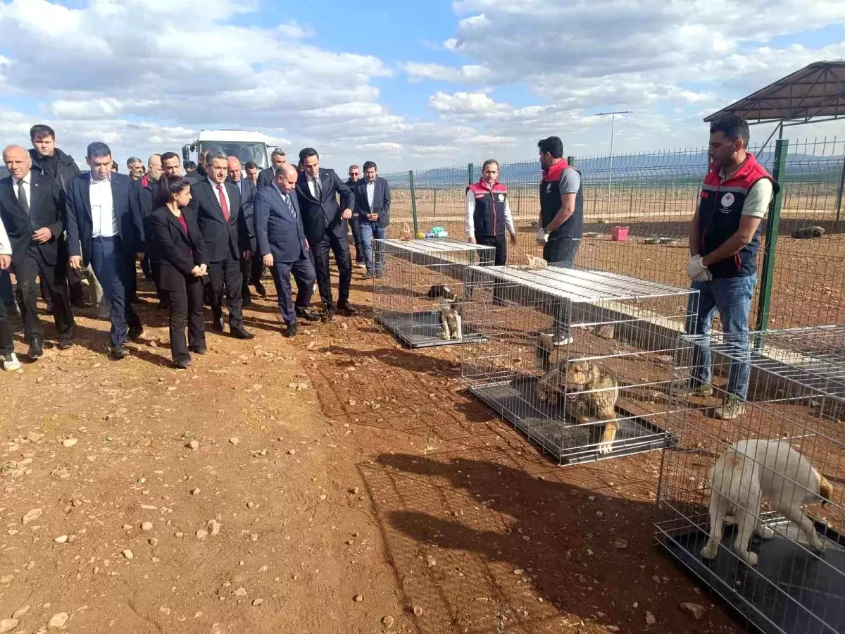 İçişleri Bakan Yardımcısı Aktaş\'ın Şırnak temasları