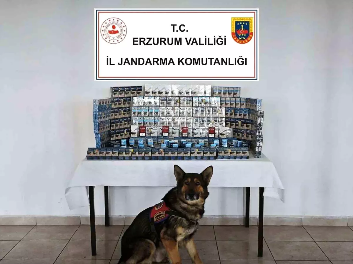 Erzurum\'da Kaçak Ürün Operasyonu