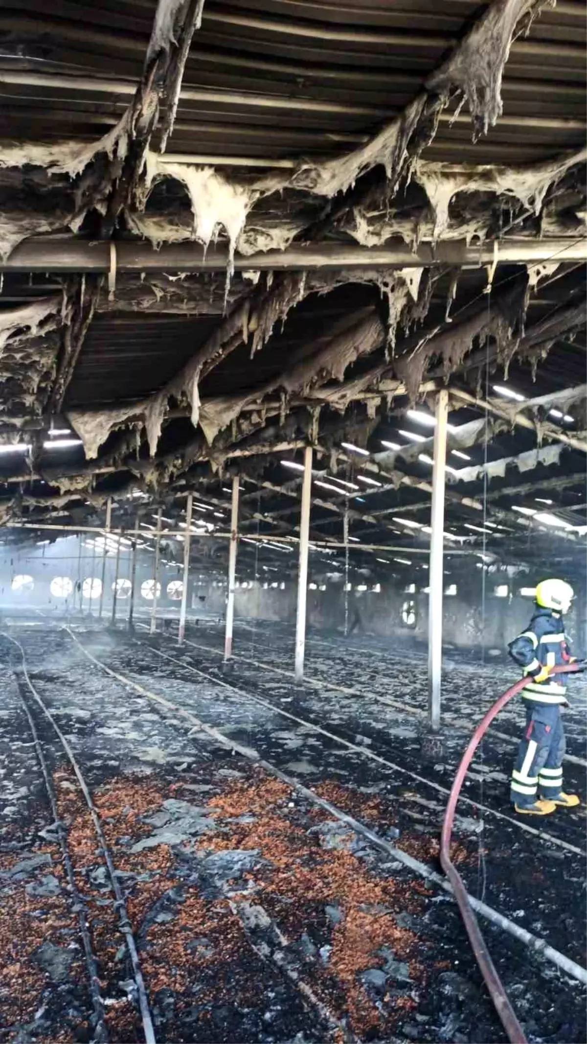 Tarsus\'ta Tavuk Çiftliğinde Yangın