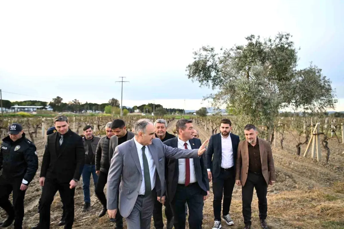 Manisa\'da Don Afeti İncelemesi