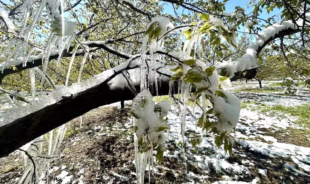 Akçin: "Bu sadece bir ürün kaybı değil, ekonomik ve sosyal krizdir"