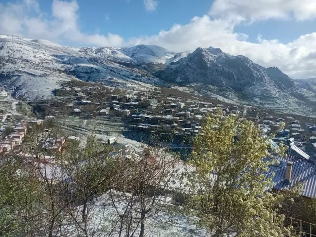Türkiye tarihinin en büyük zirai don olayı! Mahsul eridi, iller bir bir alarm veriyor