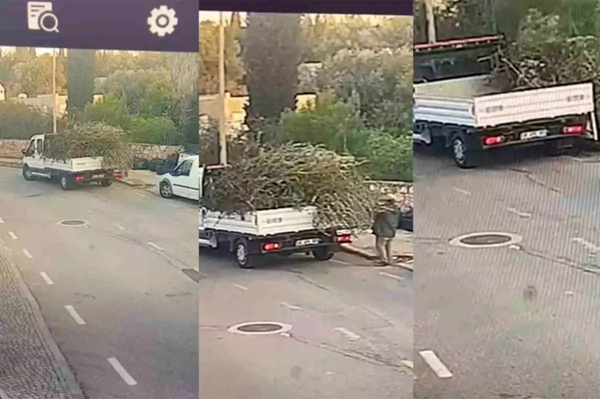 Bodrum Zabıta Müdürlüğü\'nden Çöp Konteynerine Bahçe Atığı Bırakan Firmaya Ceza