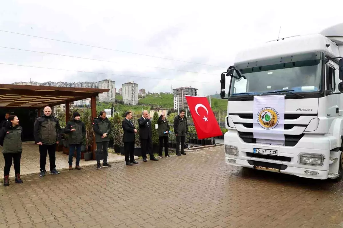 Ordu\'dan Azerbaycan\'a 7 Bin Fidan Gönderildi