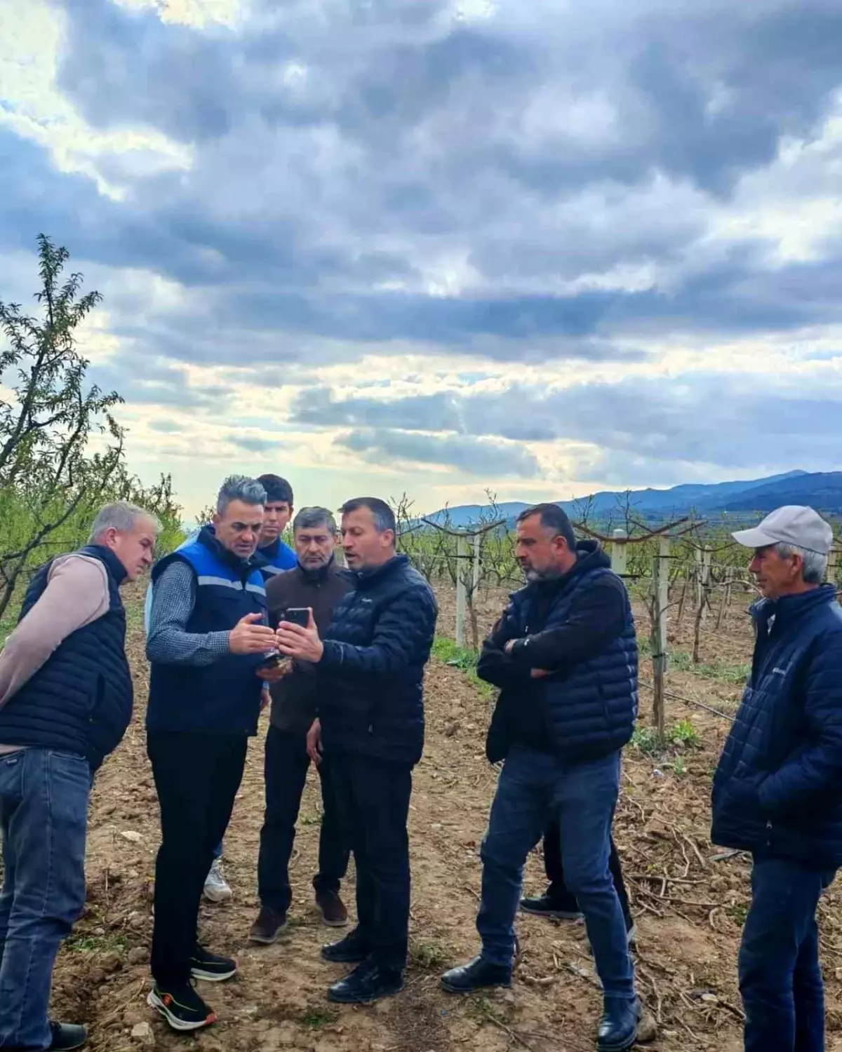 Bilecik\'te Don Hasarıyla Mücadele