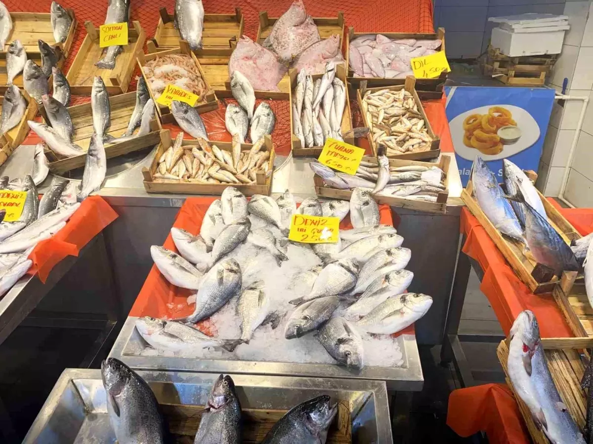 Balık Avı Sezonu Sona Erdi