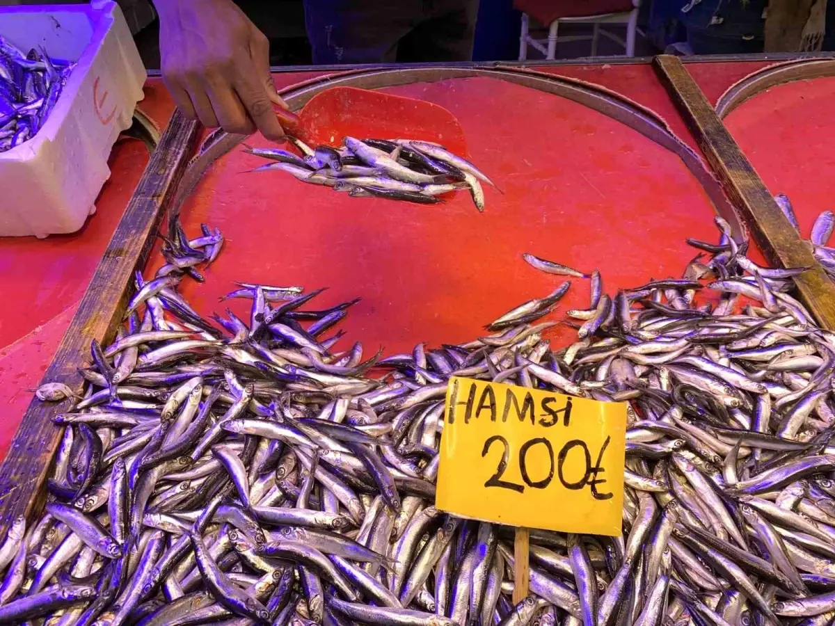 Eskişehir\'de Balık Sezonu Yoğun Satışlarla Sona Erdi