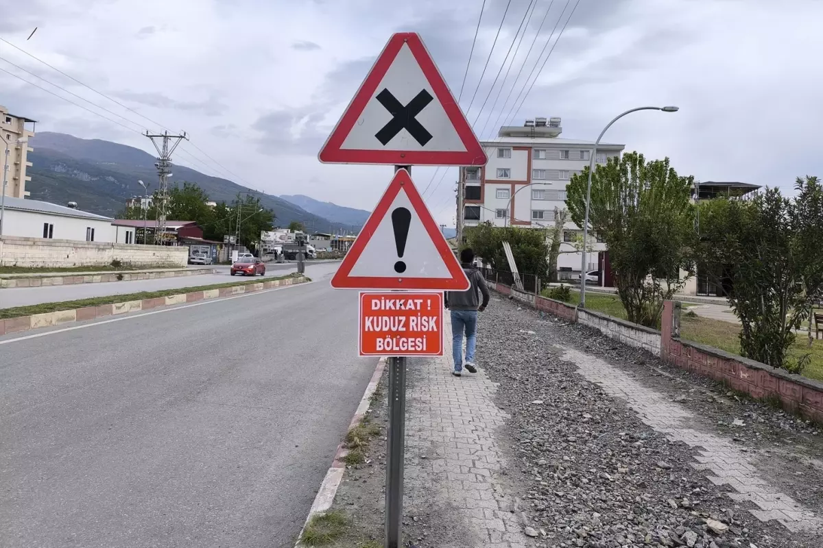 Hatay\'da kuduz alarmı, bölge karantinaya alındı