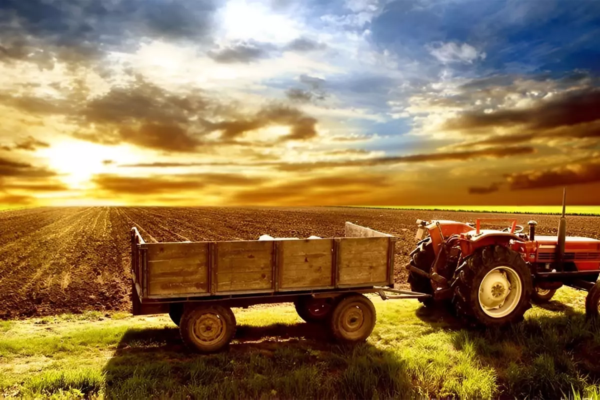 İklim Kanunu hakkında kritik gelişme