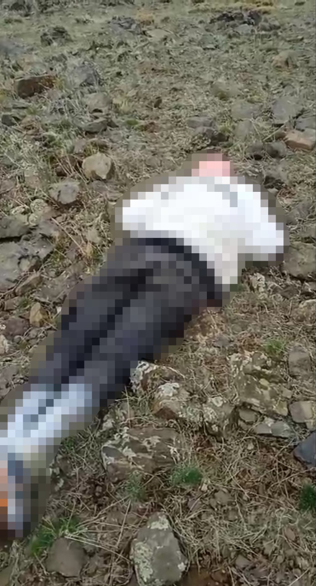 Van'ın Özalp ilçesinde erkek cesedi bulundu