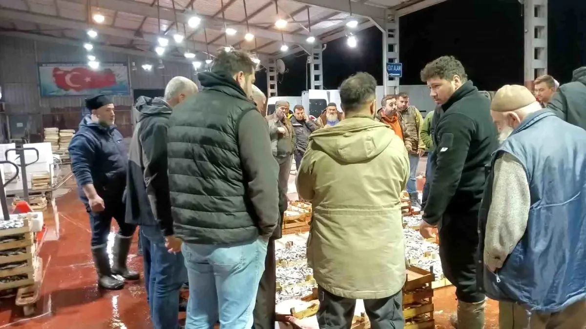 Av Yasağı Başladı, Küçük Tekneler Çalışıyor