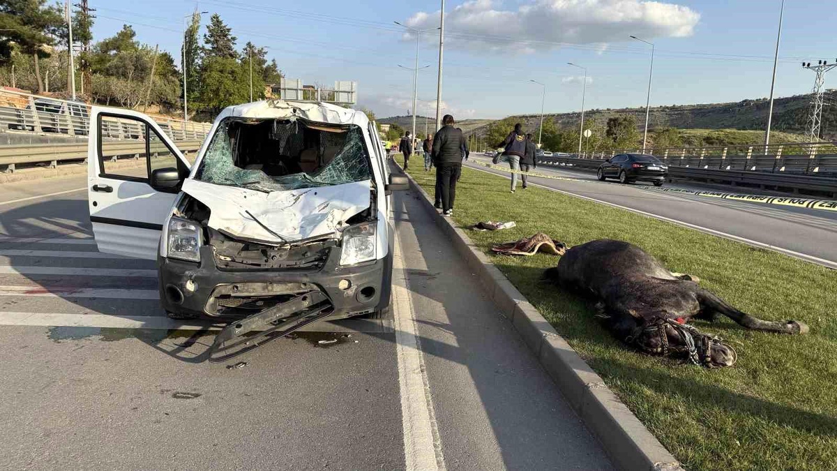 Gaziantep\'te Polis Aracına At Çarptı