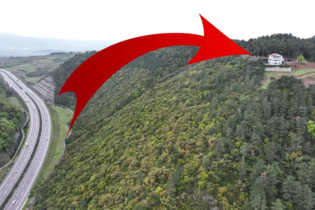 \'Herkesten nefret ediyorum\' evi satışa çıktı! İşte merak edilen sahibi