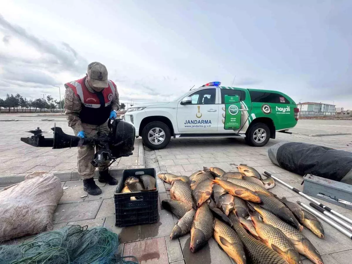 Şanlıurfa\'da Kaçak Balık Avcılığına Cezası