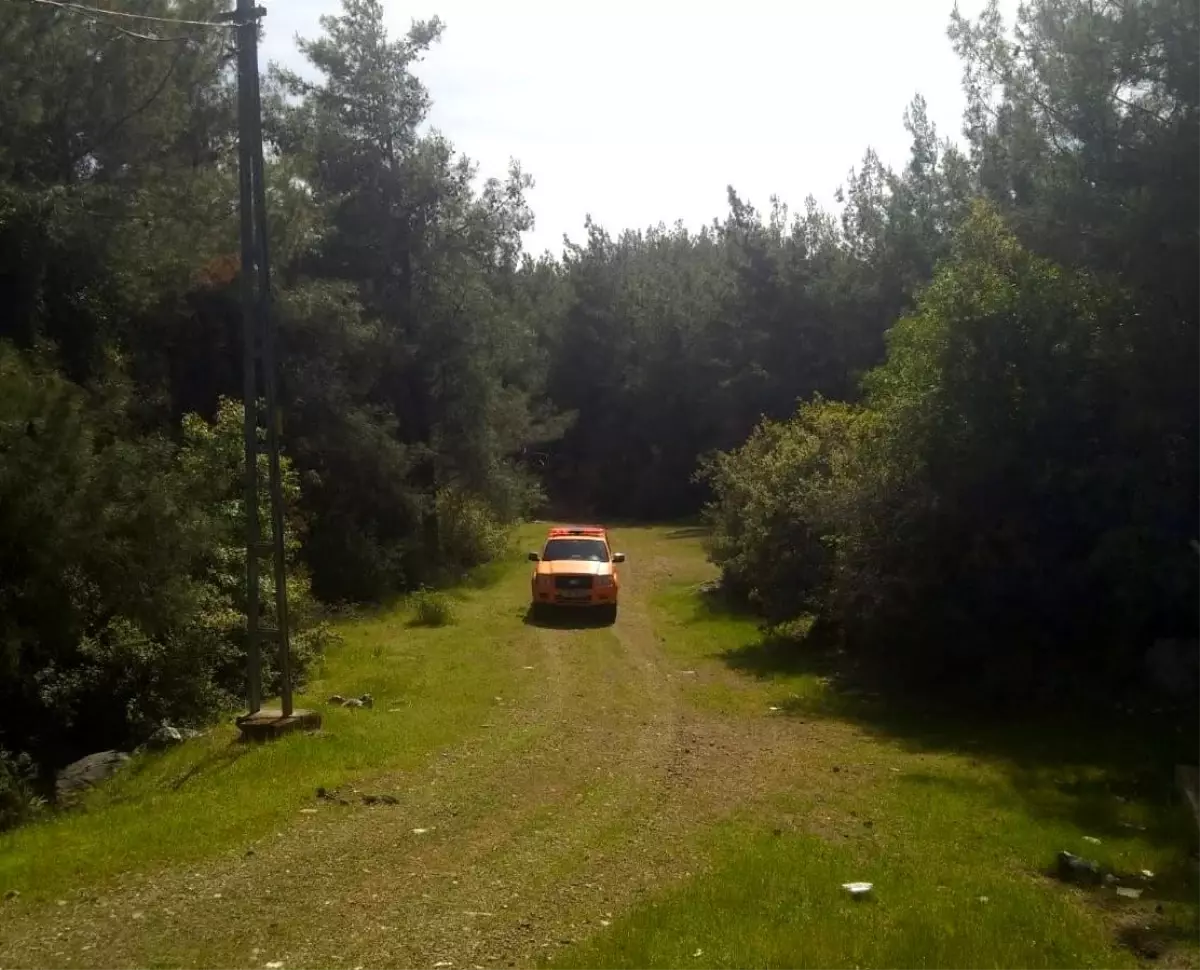 Motosikletli Kurye Ormanlık Alanda Bulundu