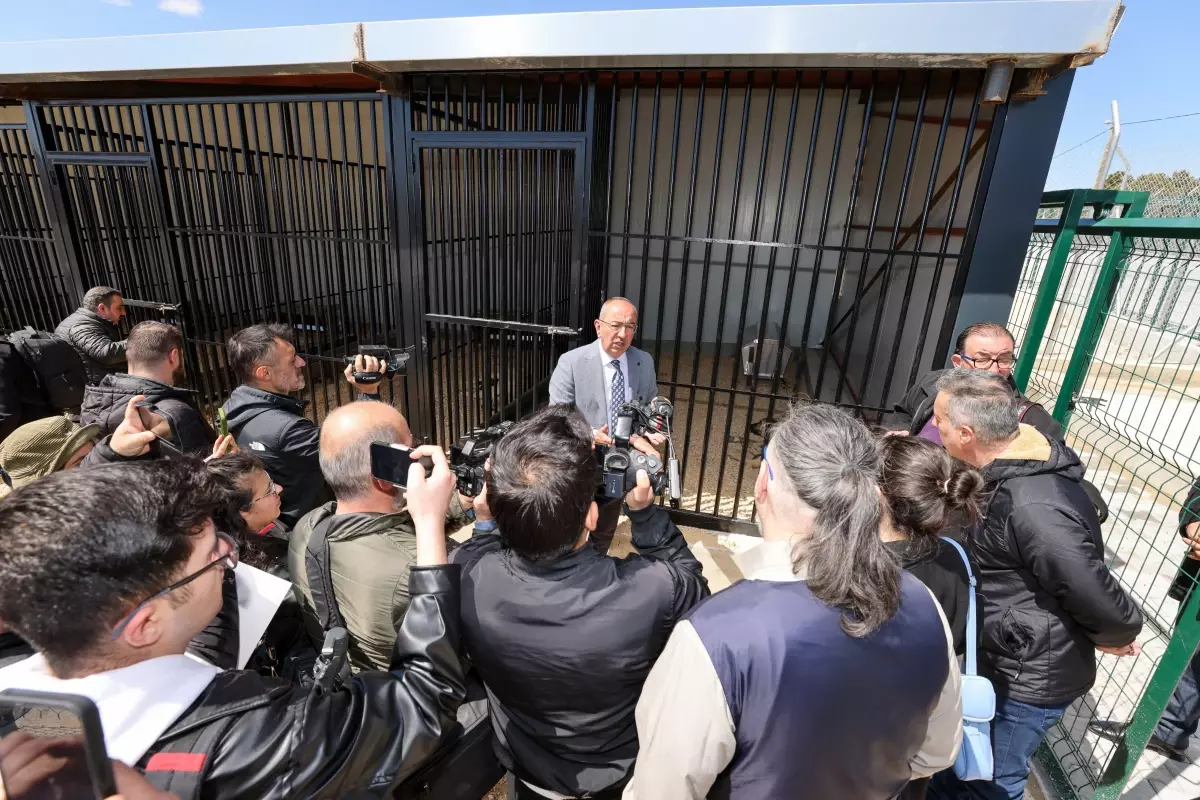 Meram Belediyesinden Sahipsiz Köpek Sorununa İnsani ve Vicdani Çözüm