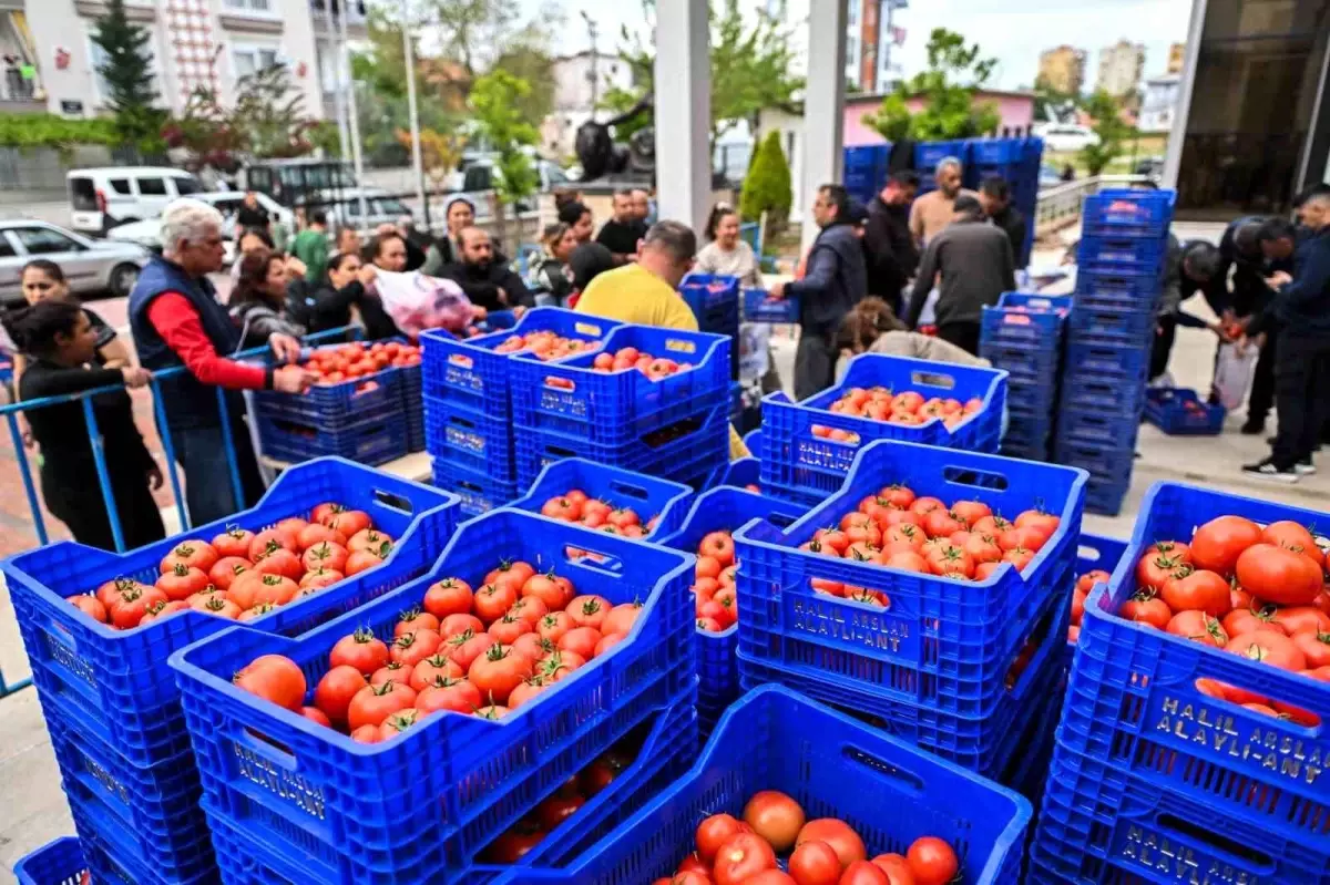Muratpaşa Belediyesi\'nden Zirai Don Sonrası Tarıma Destek