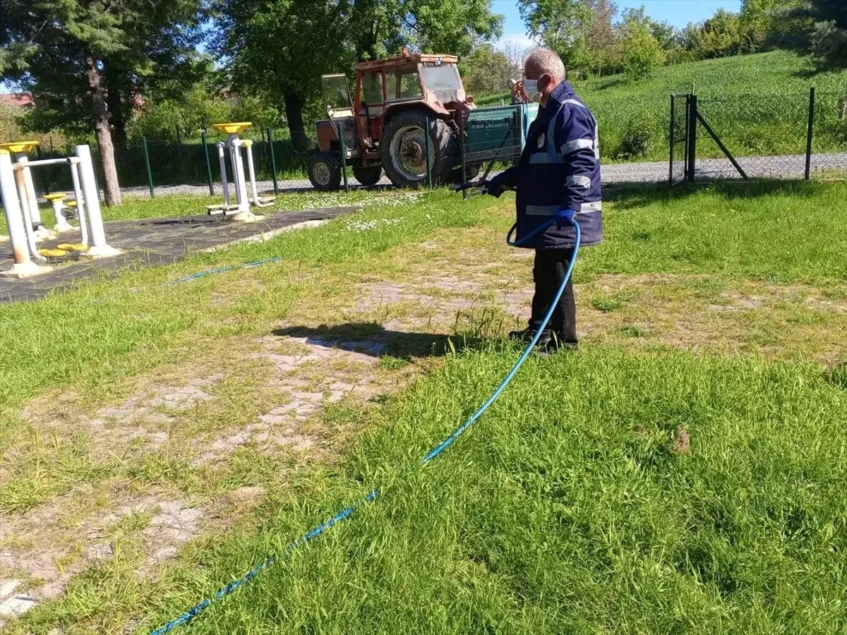 Kahverengi Kokarca ile Mücadele Devam Ediyor
