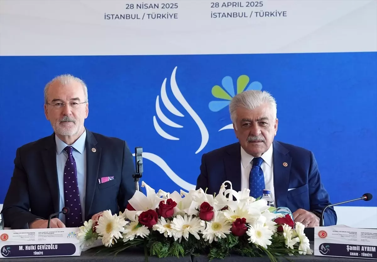 AİBPA Ekonomik ve Mali Konular, Sosyal İşler ve Eğitim Komitesi İstanbul\'da toplandı
