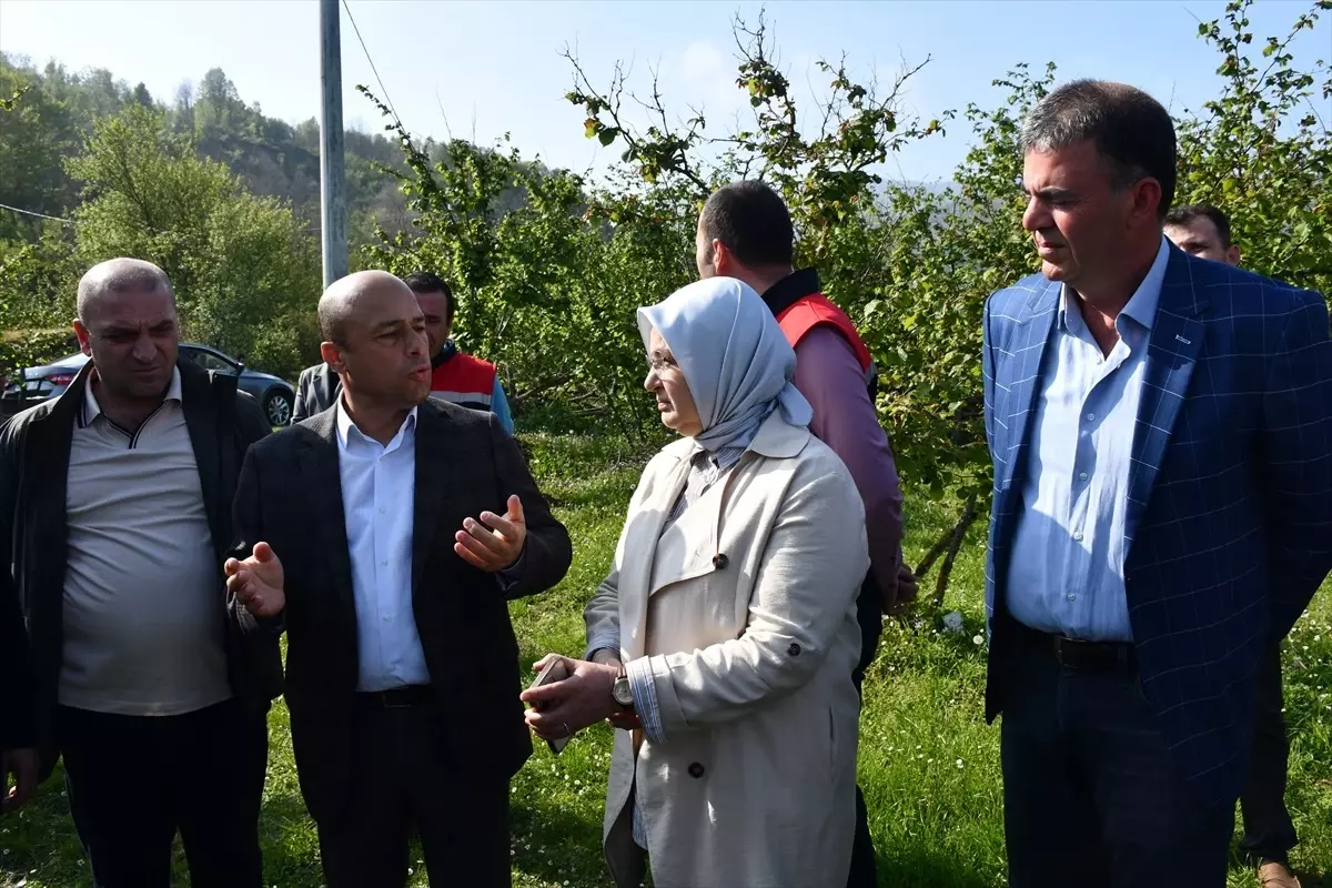 Düzce\'de Çiftçilere TARSİM Tavsiyesi