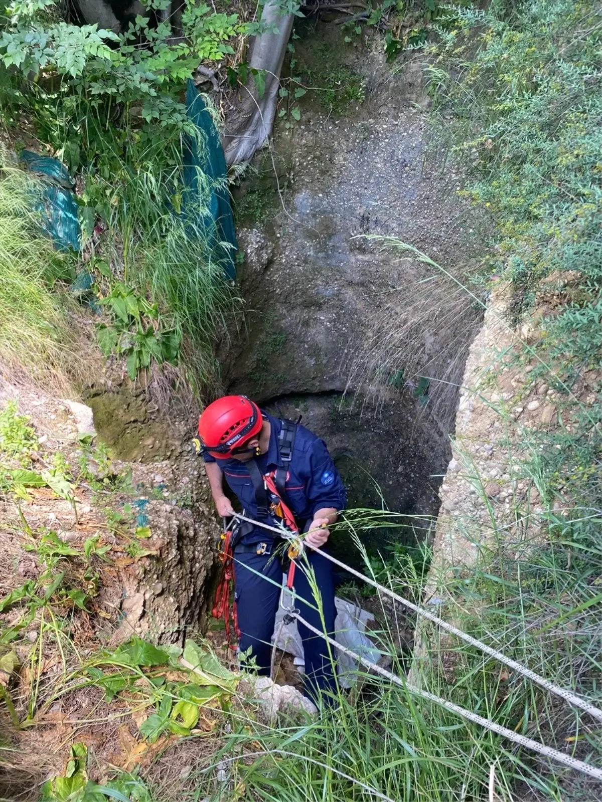 Kuyuya Düşen 7 Yavru Köpek Kurtarıldı