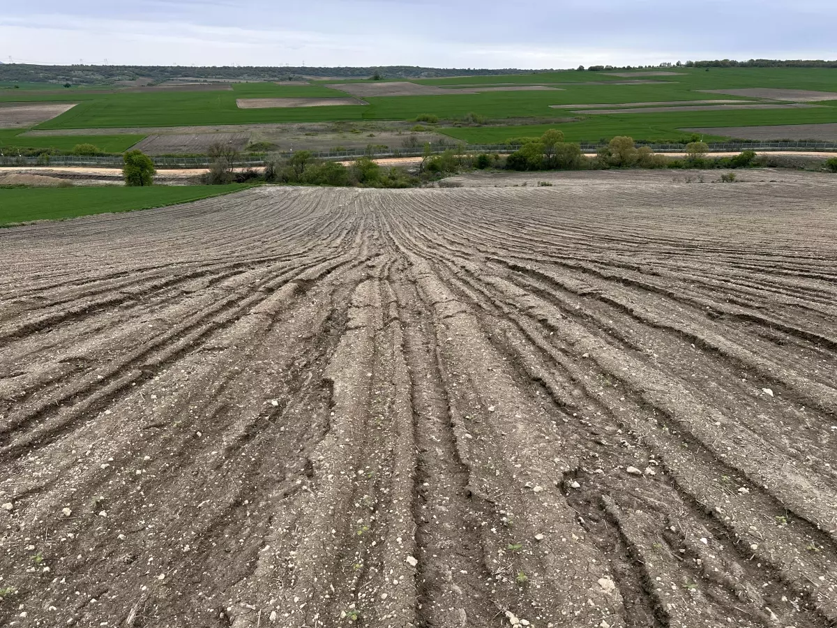 Edirne\'deki Çiftçi Dolu Sonrası Zararını Sigorta Şirketine İtiraz Ediyor