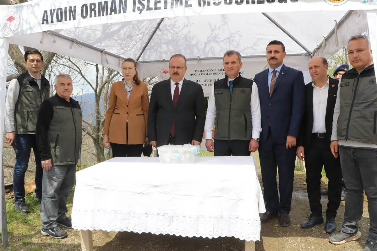 Aydın\'da Kestaneler İçin Biyolojik Mücadele