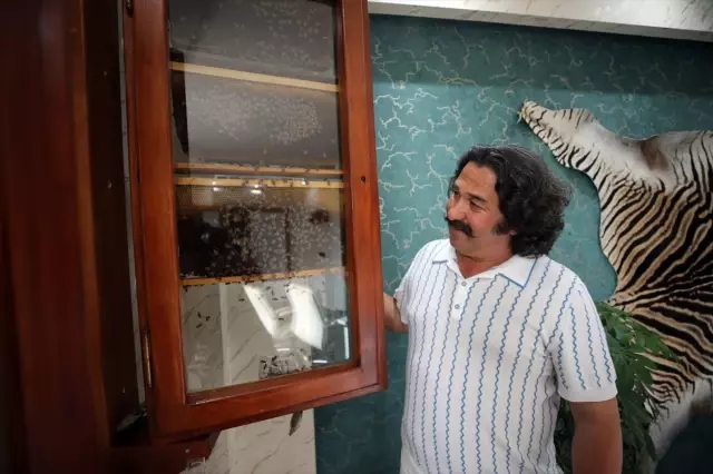 İsviçre'de görüp Aydın'da yaptırdı: Ofisime gelenler izlemeye doyamıyor