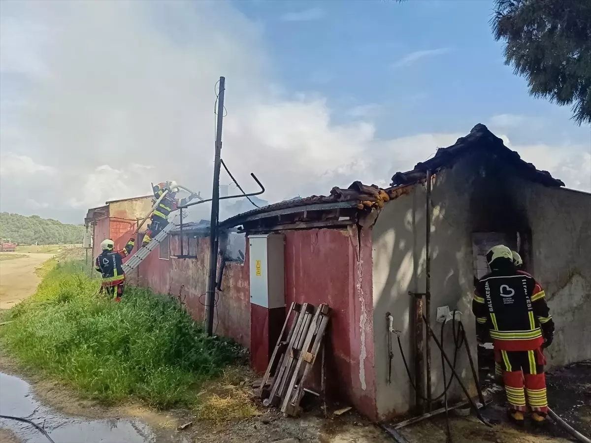 Burhaniye\'de Mandıra Yangını Kontrol Altına Alındı