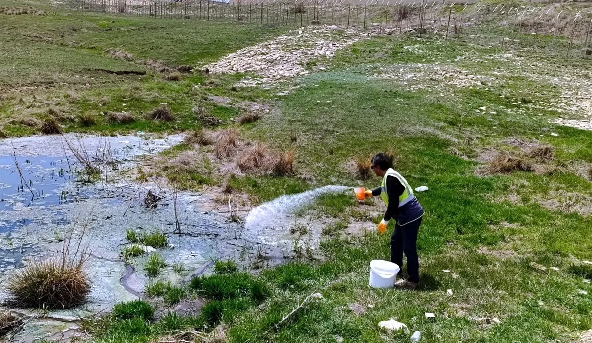 Bayburt\'ta Sineklerle Mücadele Başladı