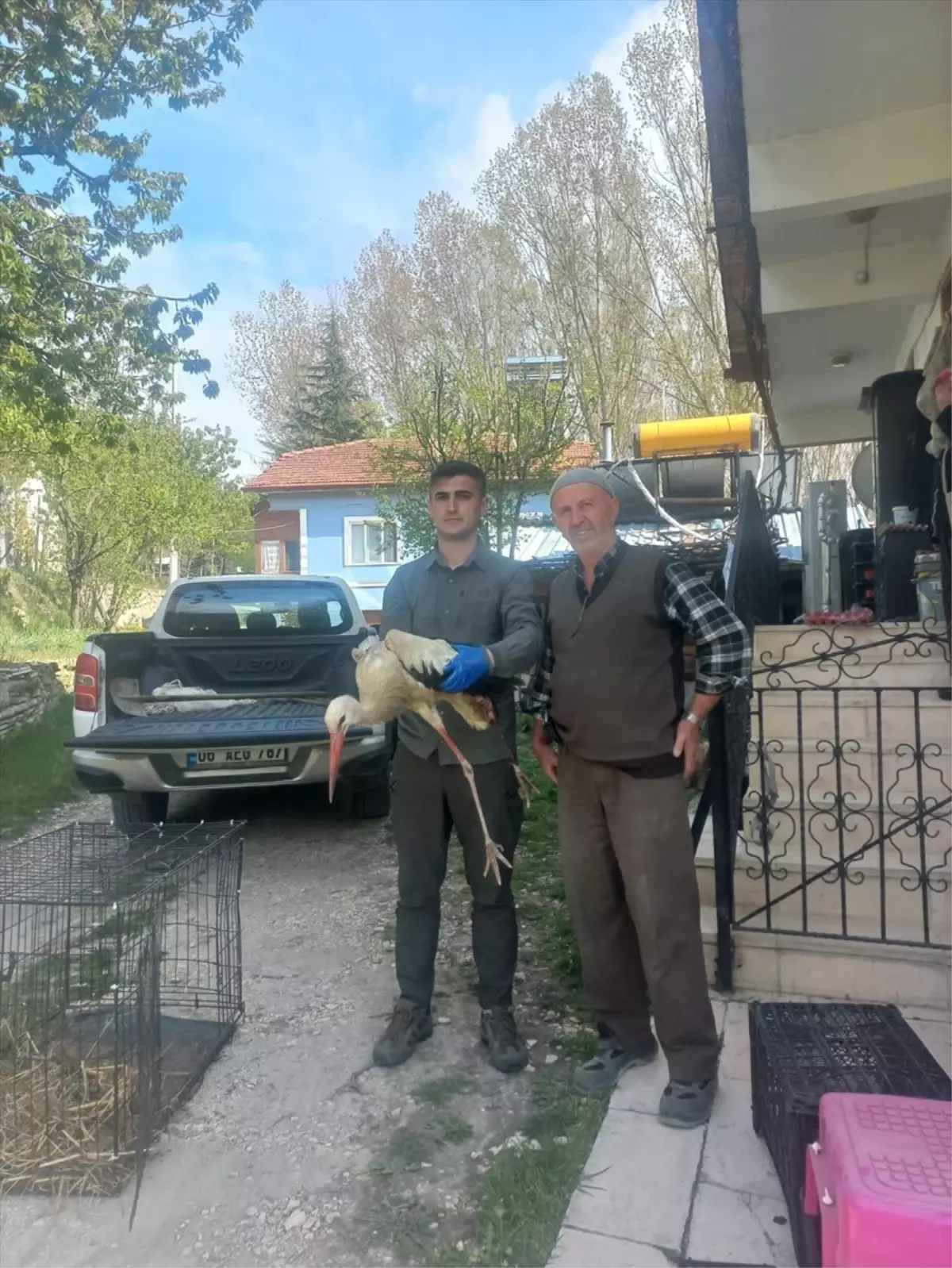 Yaralı Leylek Tedavi Altına Alındı