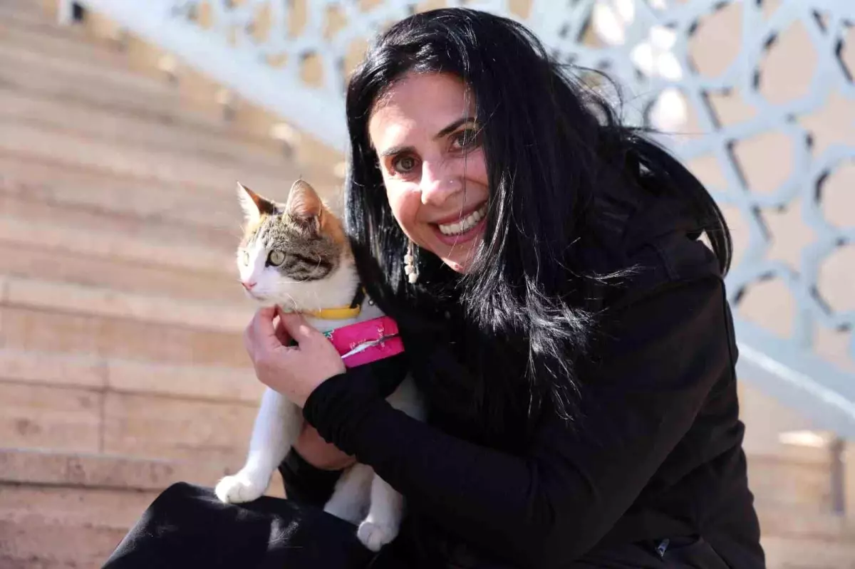 Romanyalı Kadın, Elazığ\'dan Kedi Sahiplendi