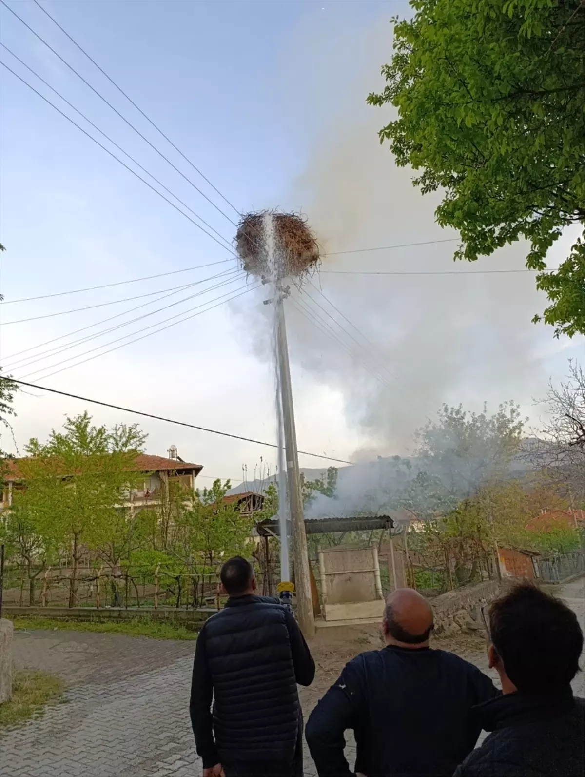 Çorum\'da Leylek Yuvası Yangınla Yanarak Kullanılamaz Hale Geldi