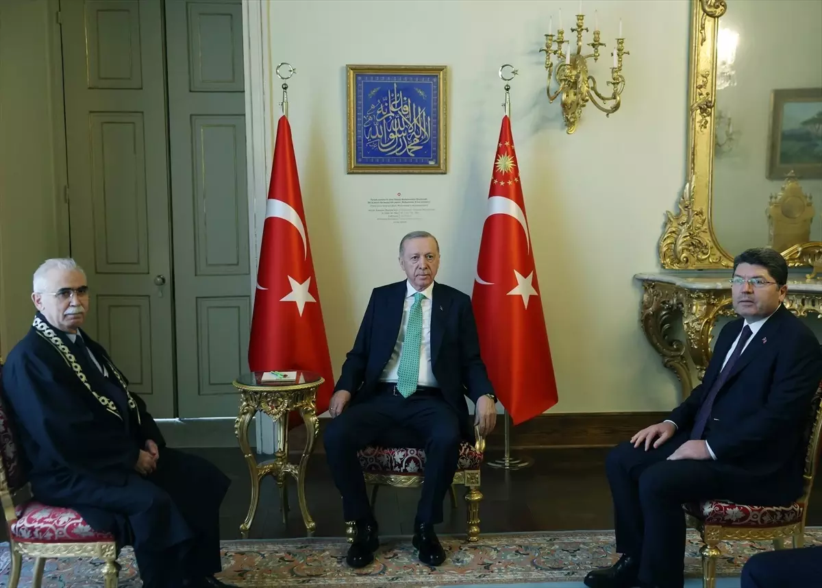 Cumhurbaşkanı Erdoğan, Anayasa Mahkemesi Başkanı Özkaya\'yı kabul etti