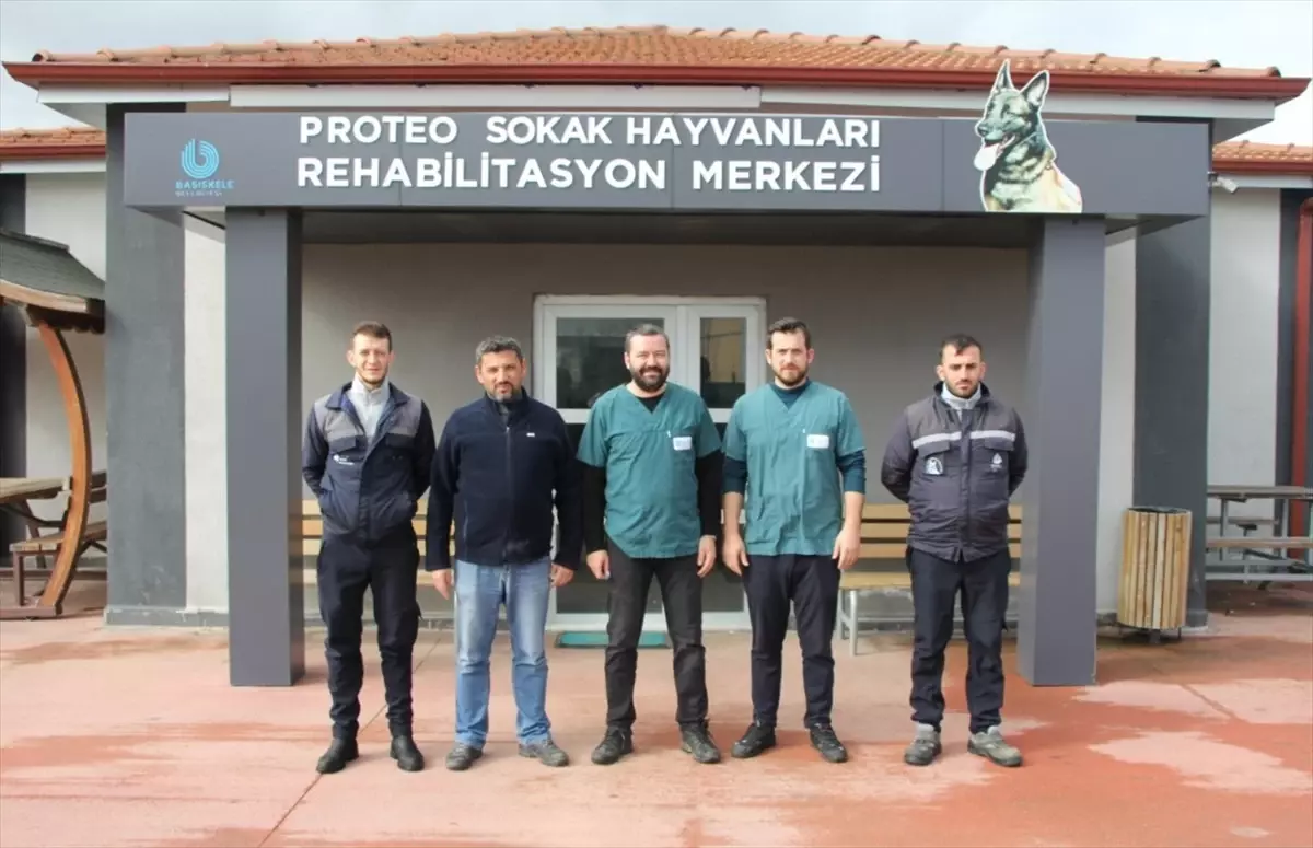 Proteo Merkezinde Binlerce Hayvana Şefkat