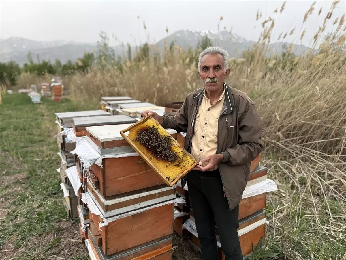 Erzincan\'da Soğuk Hava Arıcılığı Olumsuz Etkiliyor