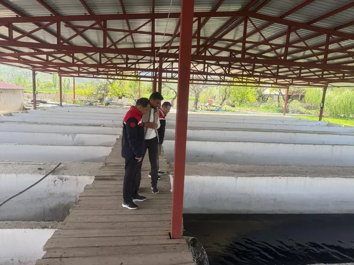 Erzincan\'da Balık Yetiştiriciliği Gelişiyor