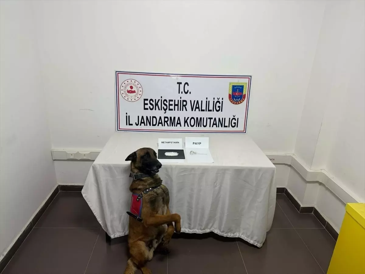 Eskişehir\'de Kaçak Kazı ve Uyuşturucu Operasyonu