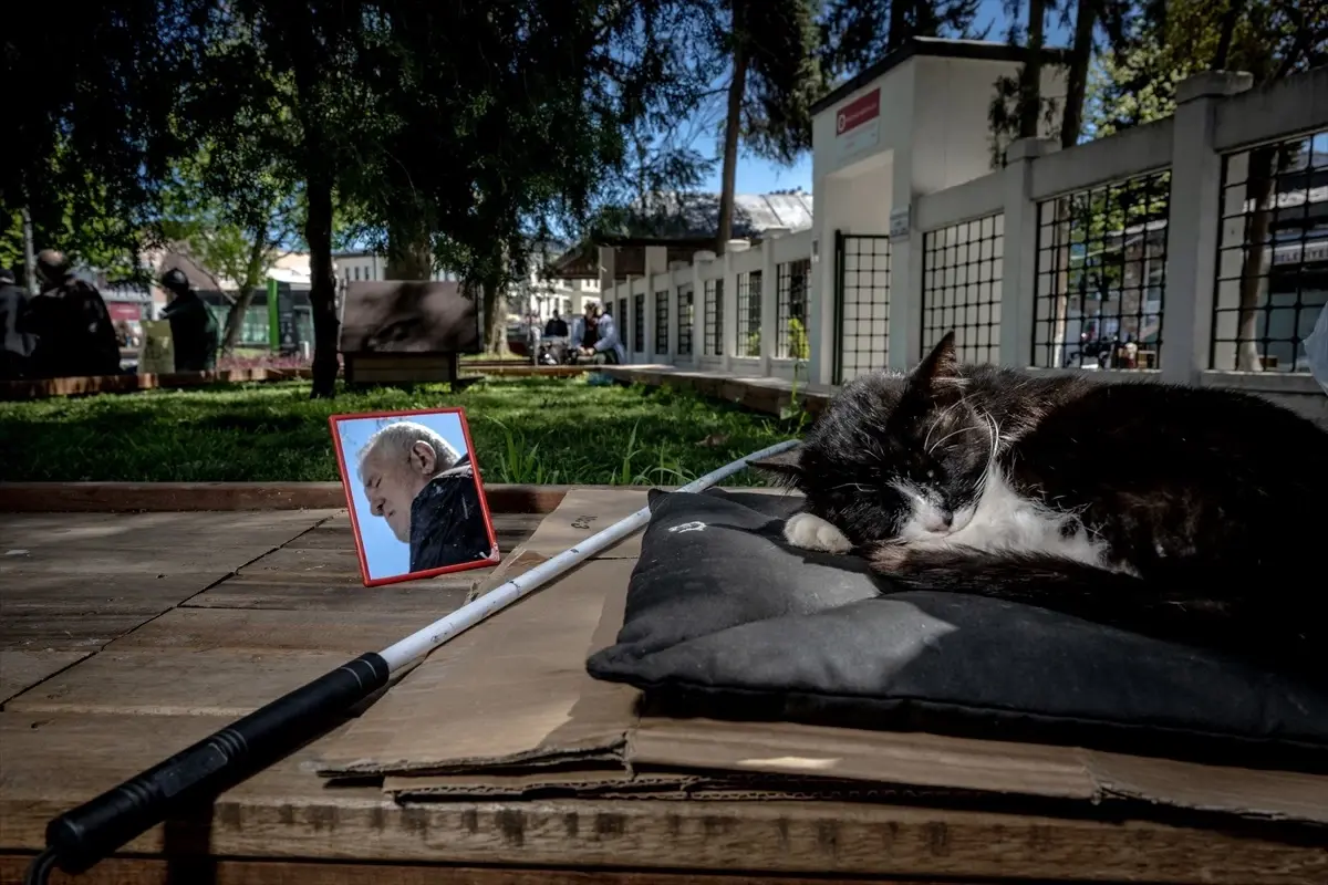 Görme Engelli ile Sokak Kedisi Arasında Sıcak Dostluk