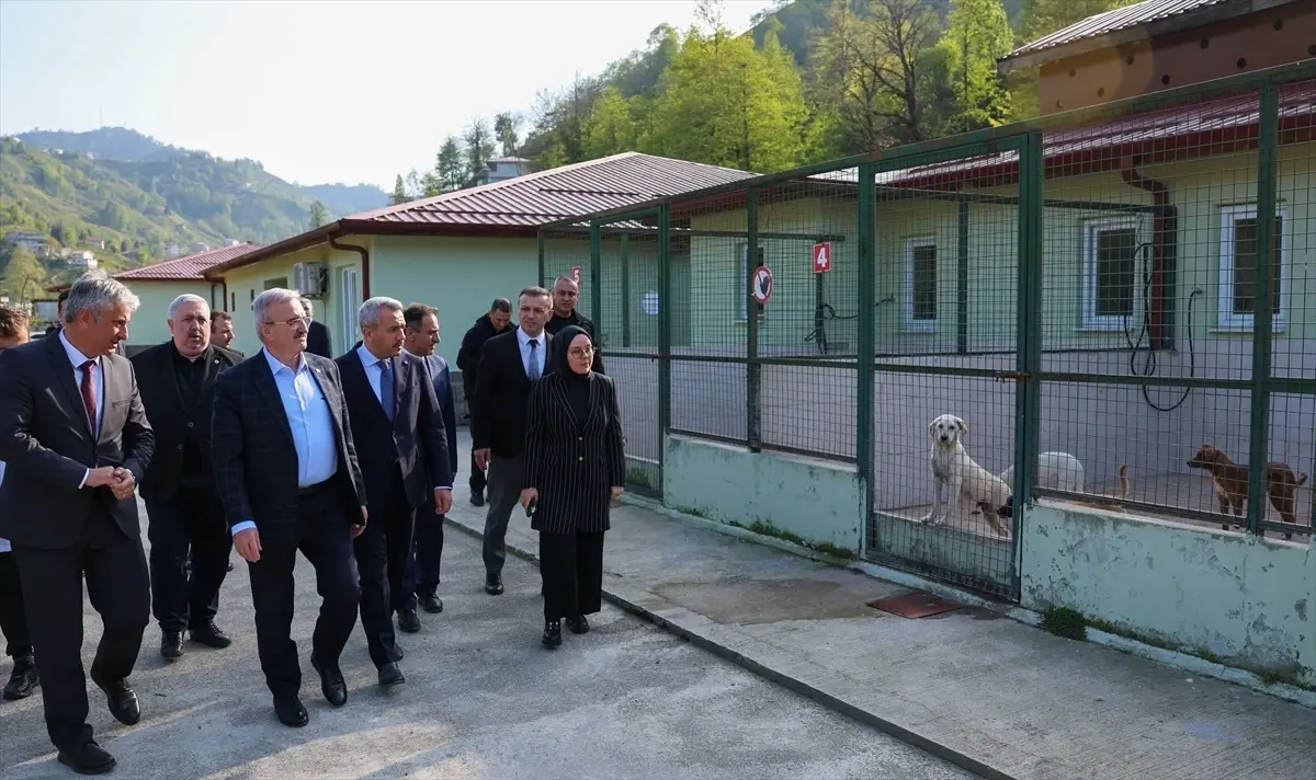 İçişleri Bakan Yardımcısı Rize\'de İncelemelerde Bulundu