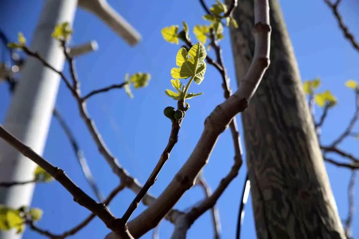Don Zararına Rağmen İhracat İyimserliği