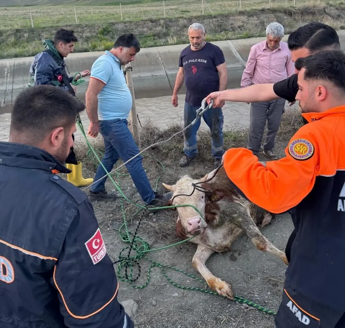 Kars\'ta Baraj Kanalına Düşen Hayvanlar