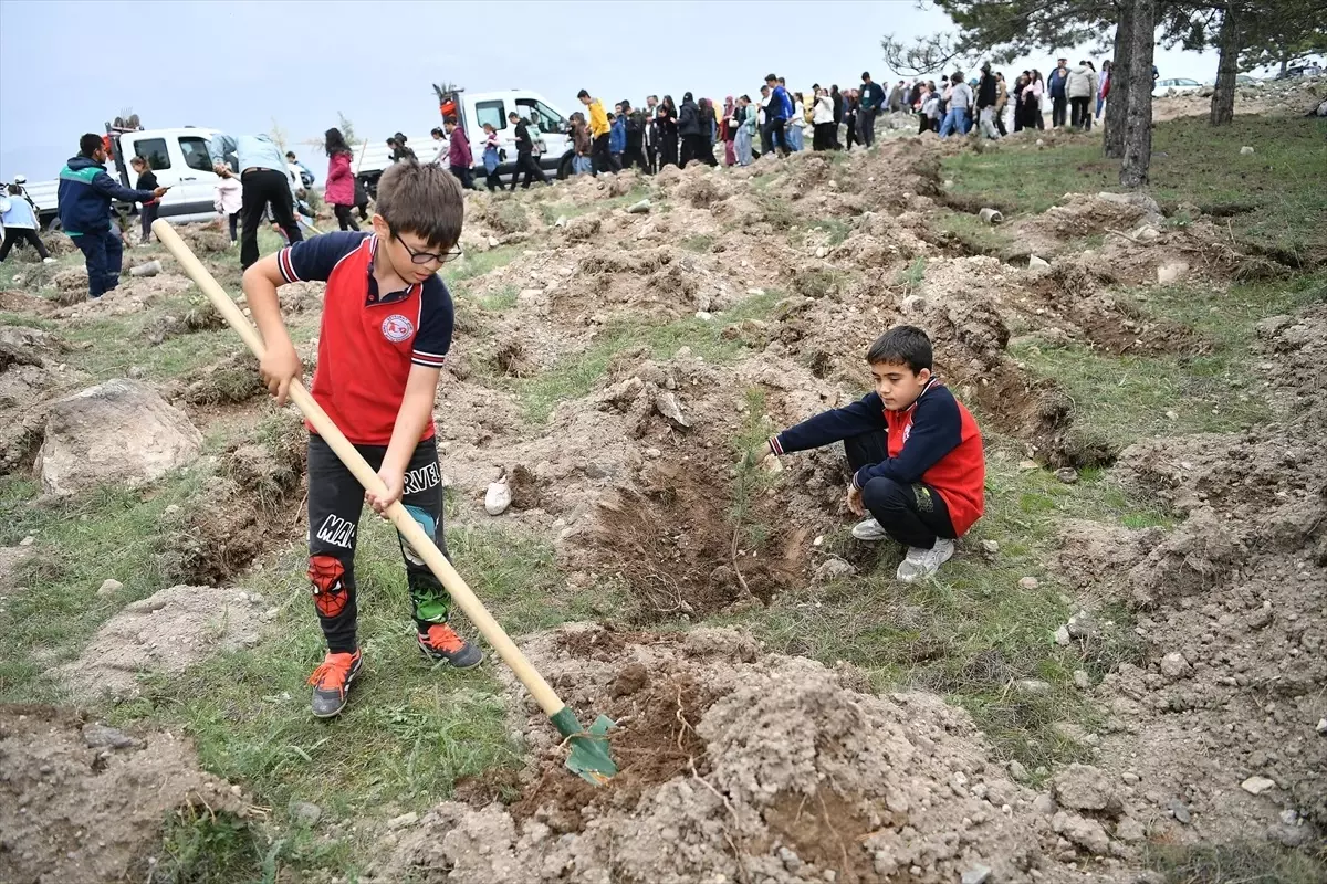 Gesi\'de Ağaçlandırma Şenliği