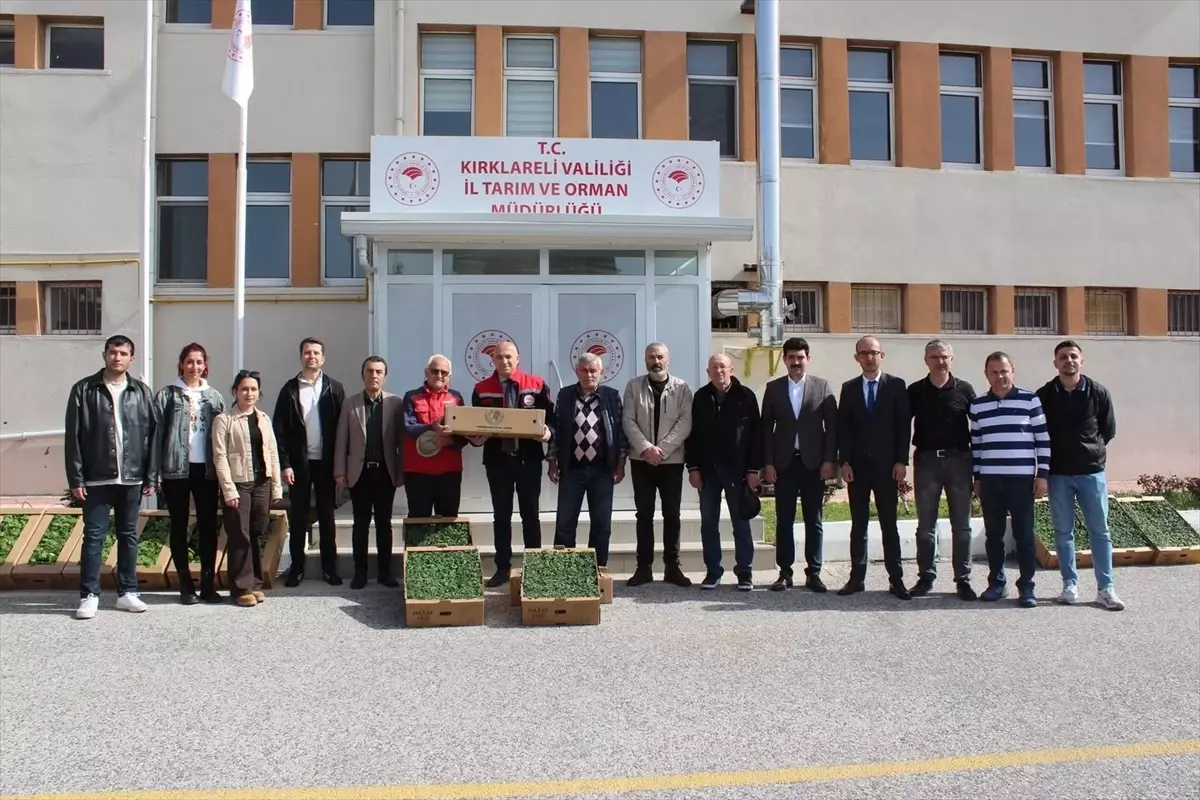 Kırklareli\'nde 30 Bin Sebze Fidesi Dağıtıldı