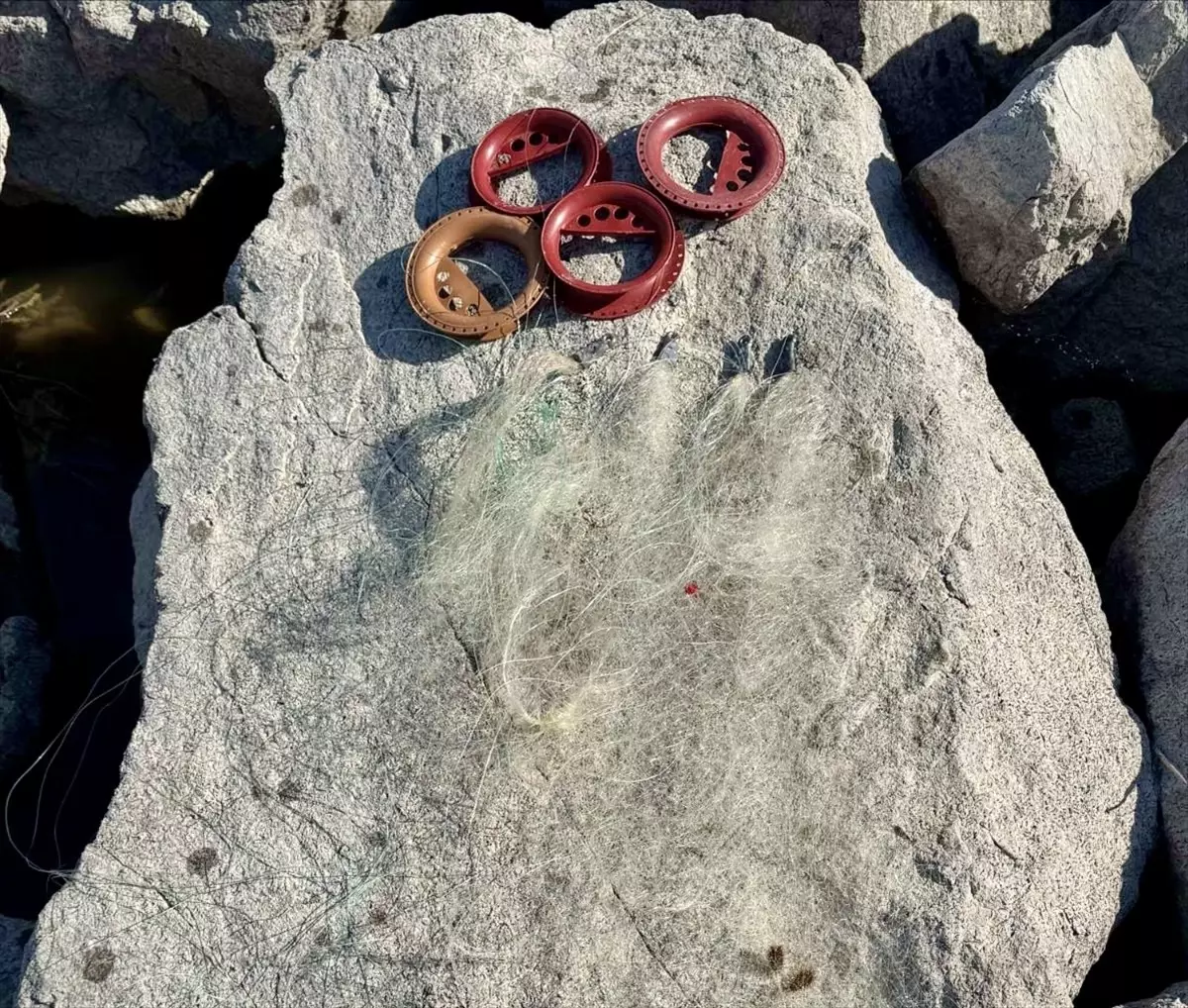 Kırşehir\'de Kaçak Balık Avcılarına İdari İşlem