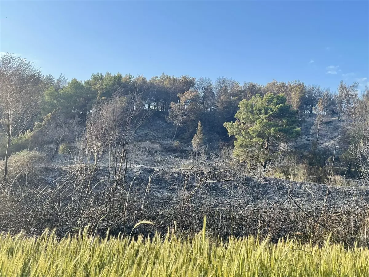 Seydikemer\'de Tarım Arazisinde Yangın
