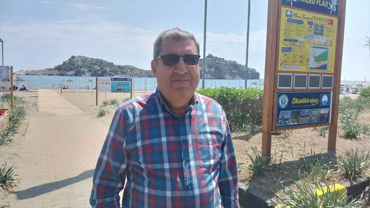 Muğla\'da Akdeniz Foku Görüntülendi